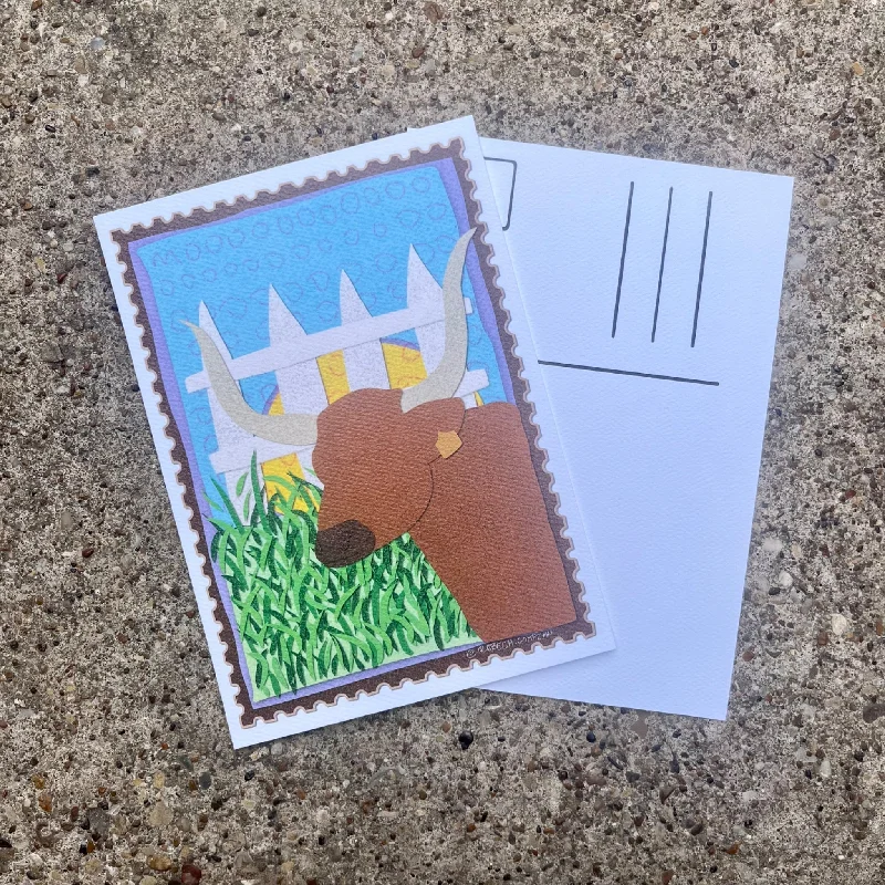 Bright Longhorn Postcard