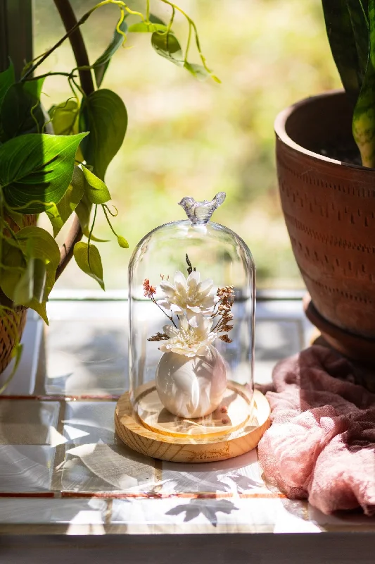 Glass Dome Decor